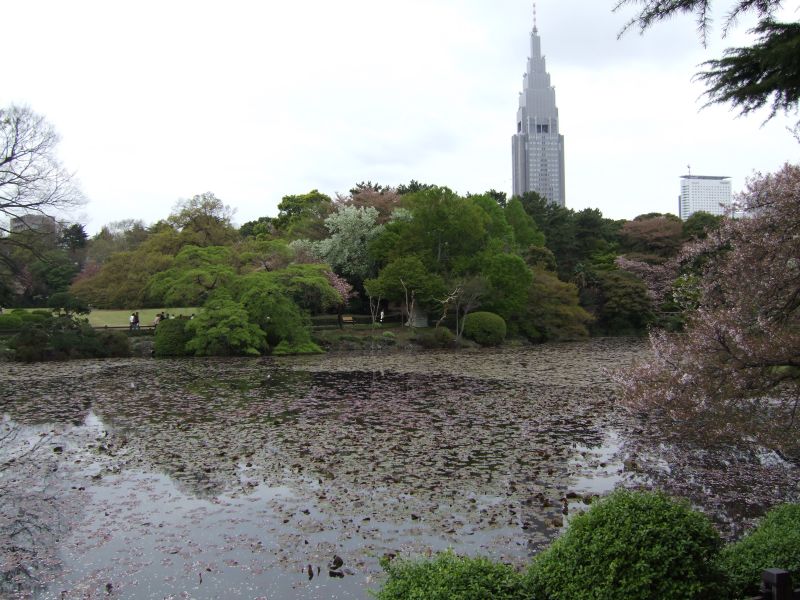 fr3651.JPG