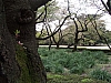 fr2051.JPG