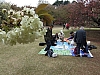 fr3101.JPG