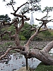 fr3451.JPG