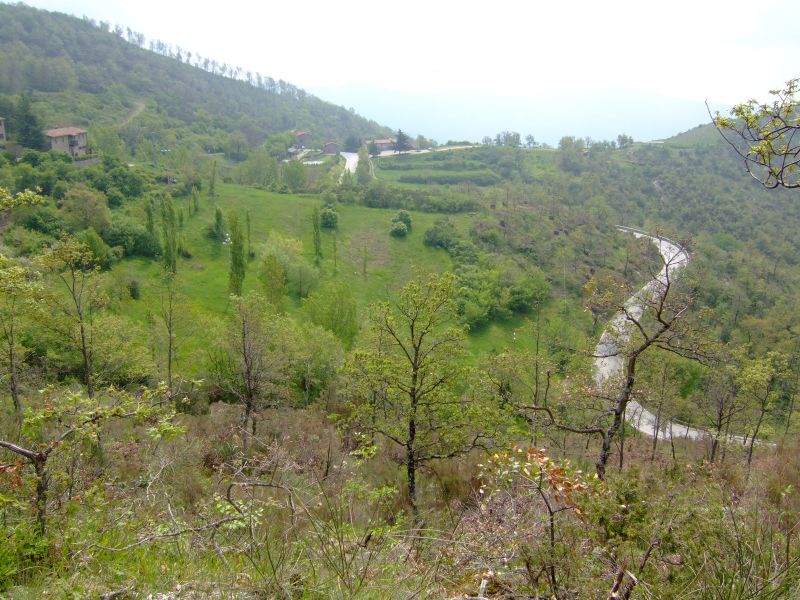DSCF1677.JPG