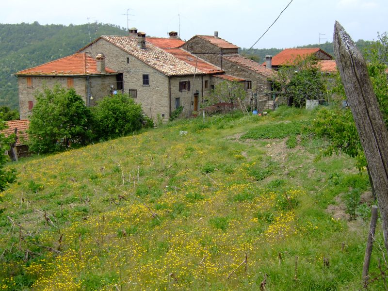 DSCF1685.JPG