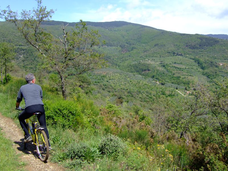 DSCF1778.JPG