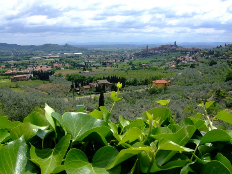 DSCF1835.JPG