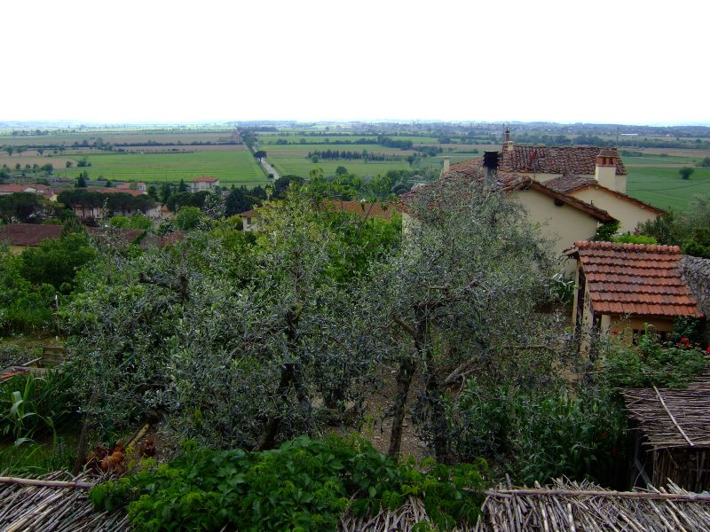 DSCF1848.JPG