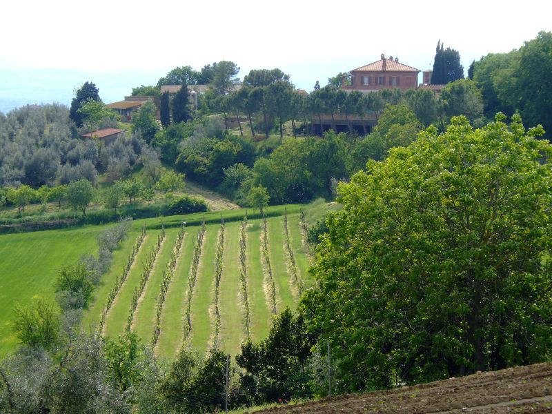 DSCF1879.JPG