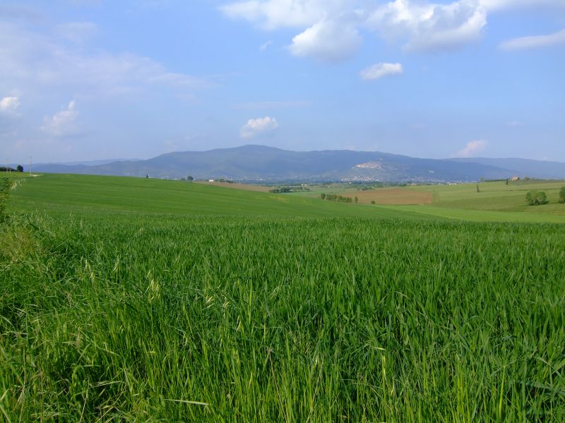 DSCF1886.JPG
