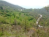 DSCF1677.JPG