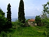DSCF1687.JPG