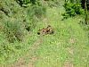 DSCF1788.JPG