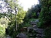 DSCF1809.JPG