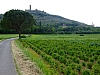 DSCF1846.JPG