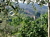 DSCF1918.JPG