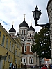 0801.JPG