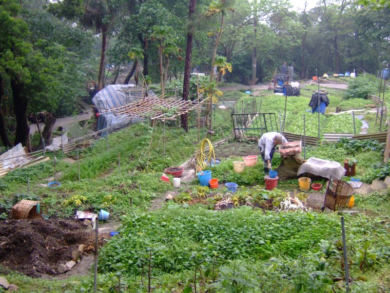 Hongkong2007_2011.JPG