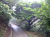 Hongkong2007_1981.JPG