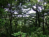 Hongkong2007_1991.JPG