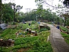 Hongkong2007_2001.JPG