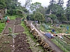Hongkong2007_2071.JPG