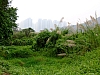 Hongkong2007_2131.JPG
