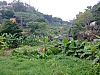 Hongkong2007_2961.JPG