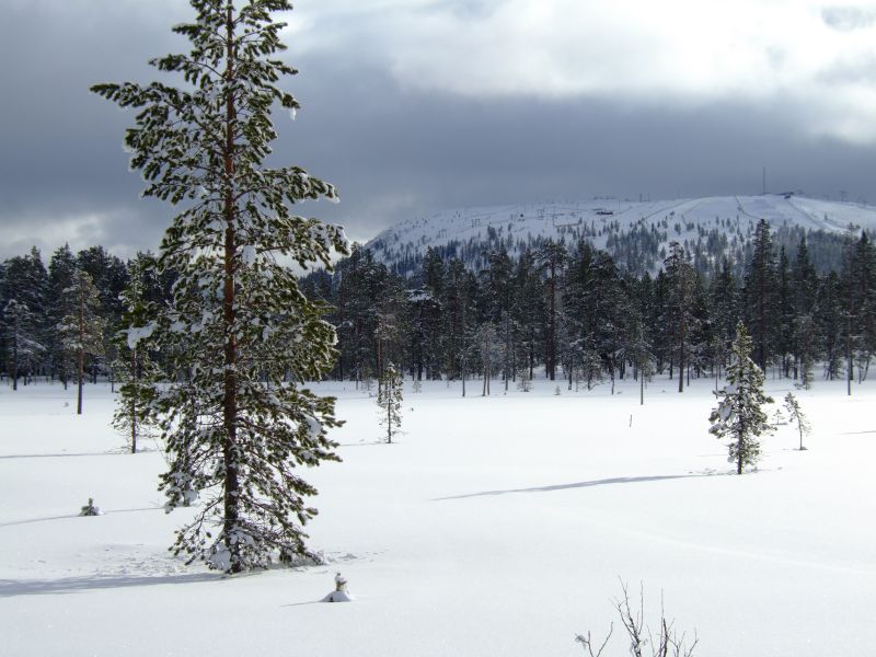 DSCF3199.JPG