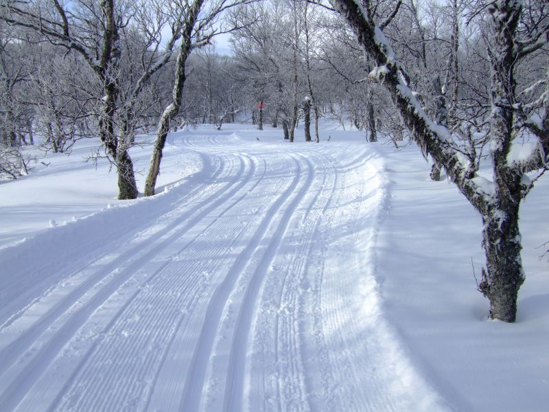 DSCF3352.JPG