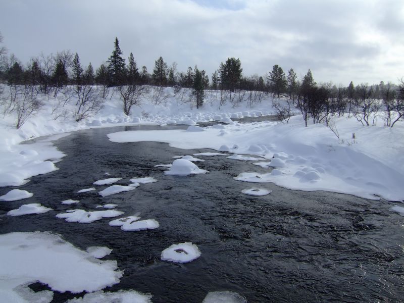 DSCF3373.JPG