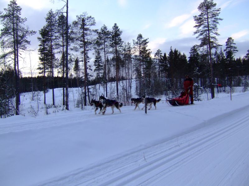 DSCF3404.JPG