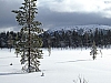 DSCF3199.JPG