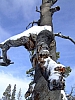 DSCF3343.JPG