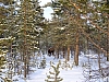 DSCF3389.JPG