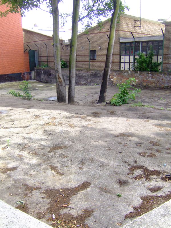 DSCF4114.JPG