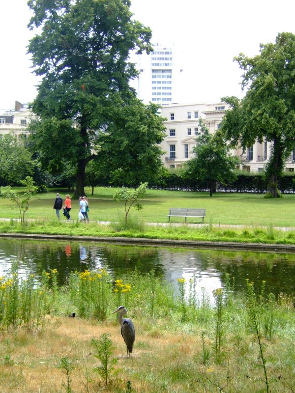 DSCF4179.JPG