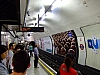 DSCF4194.JPG