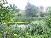DSCF4220.JPG