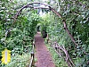 DSCF4223.JPG