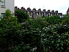 DSCF4233.JPG