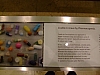 DSCF4281.JPG