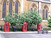 DSCF4288.JPG