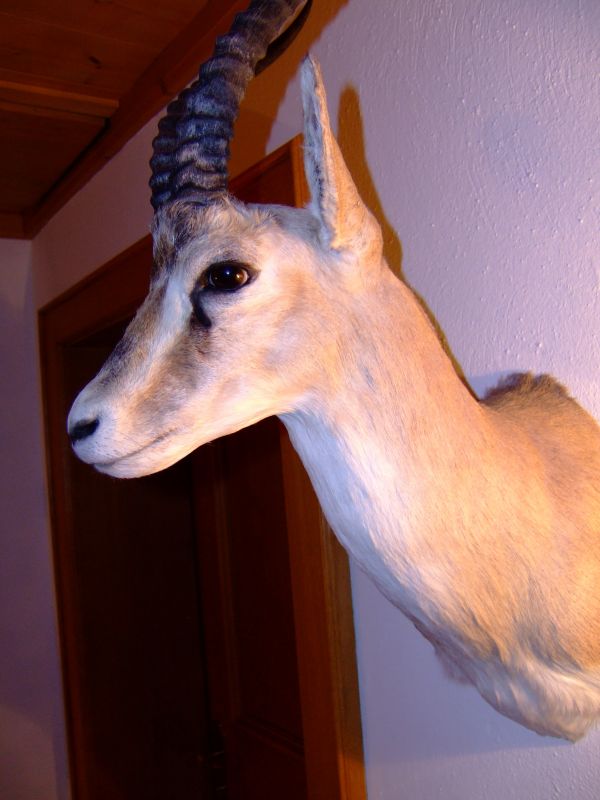 DSCF3158.JPG