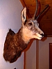 DSCF3159.JPG