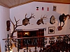 DSCF3160.JPG