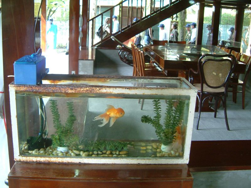 Vietnam2007-0109.JPG