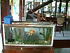 Vietnam2007-0109.JPG