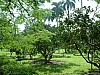 Vietnam2007-0111.JPG