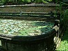 Vietnam2007-0138.JPG