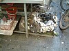 Vietnam2007-0170.JPG