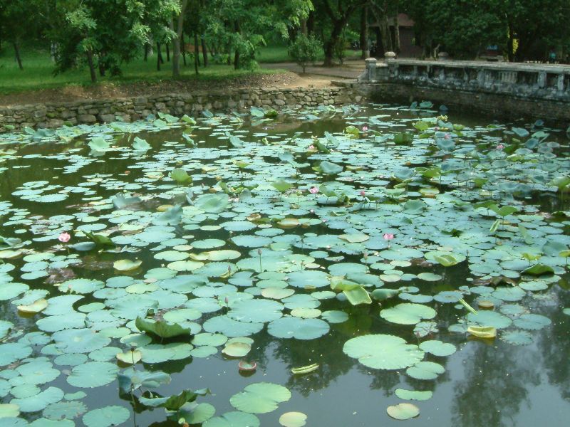 Vietnam2007-0207.JPG