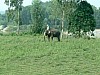 Vietnam2007-0187.JPG